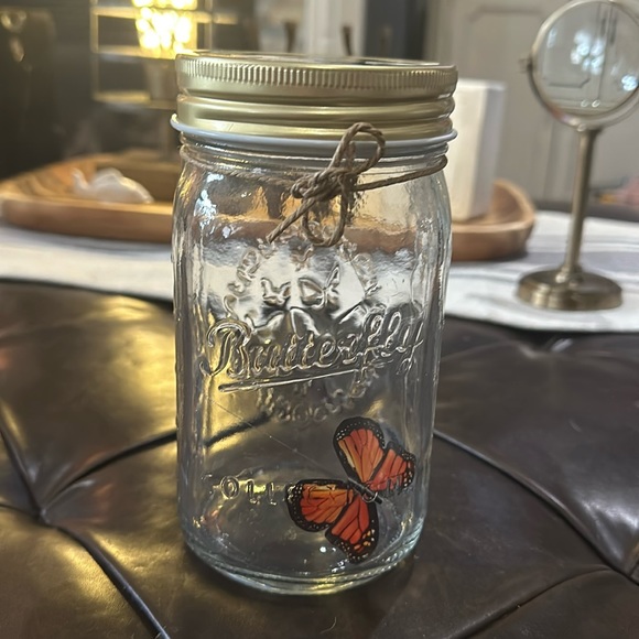 Butterfly Collection, Pink Butterfly & Multi-Colored Butterfly in a Jar! - Picture 5 of 13
